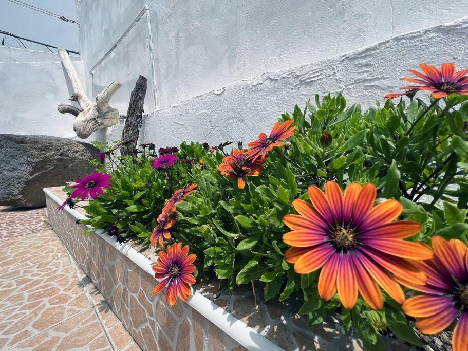 Casa Mar Villa Ponta Delgada Dış mekan fotoğraf